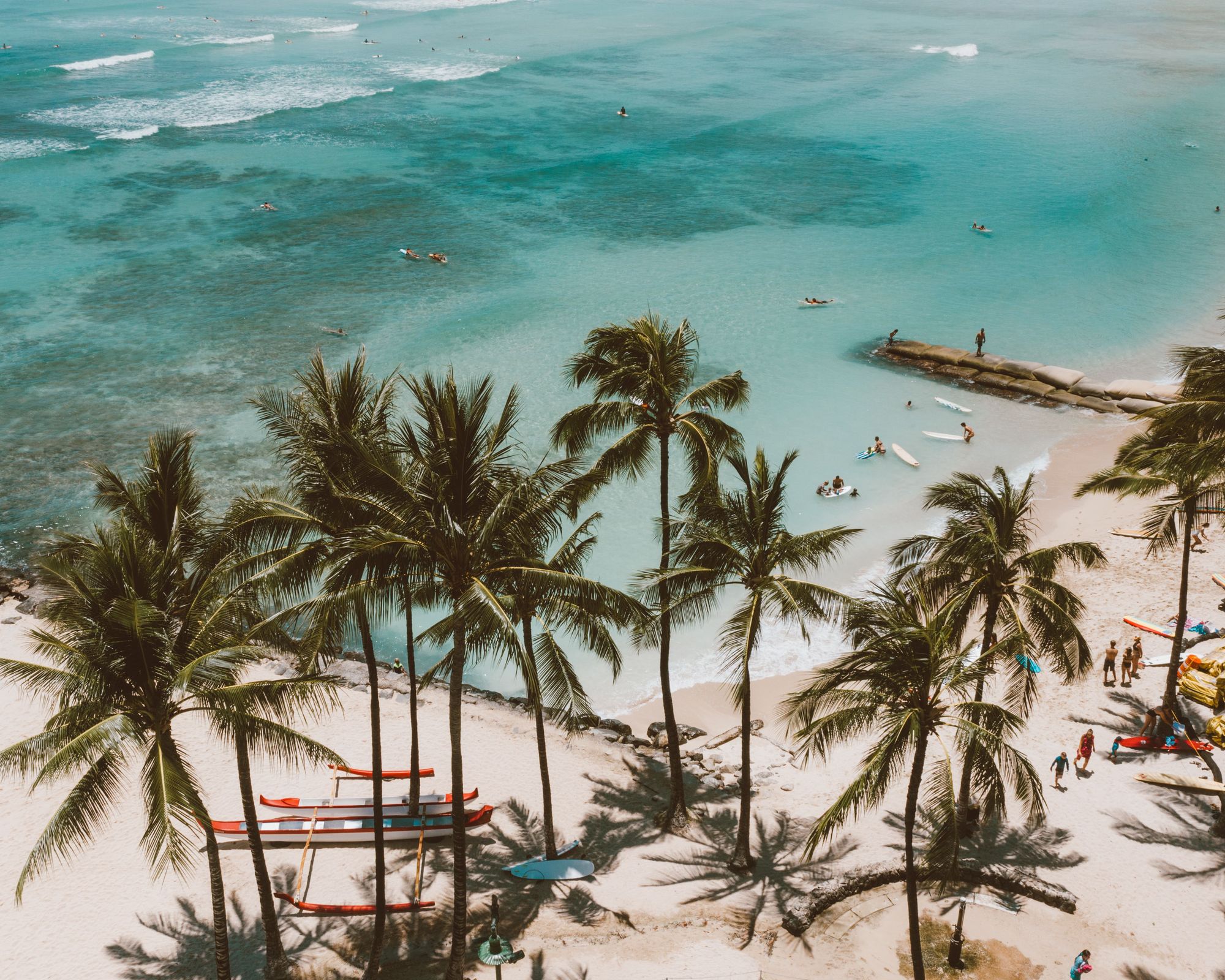 Aerial view of palm trees, surfboards and swimmers on a North Shore beach