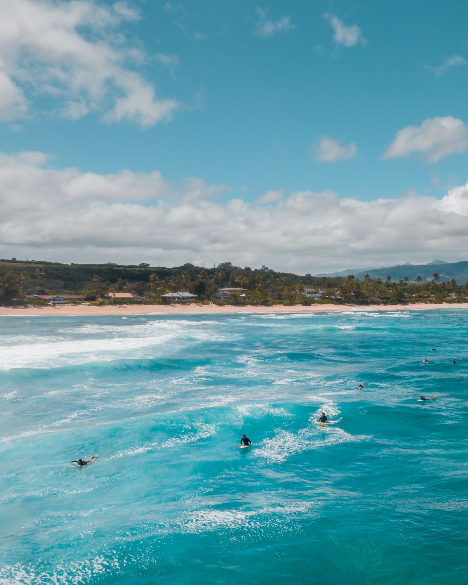 Surfers riding turquoise waves off the North Shore