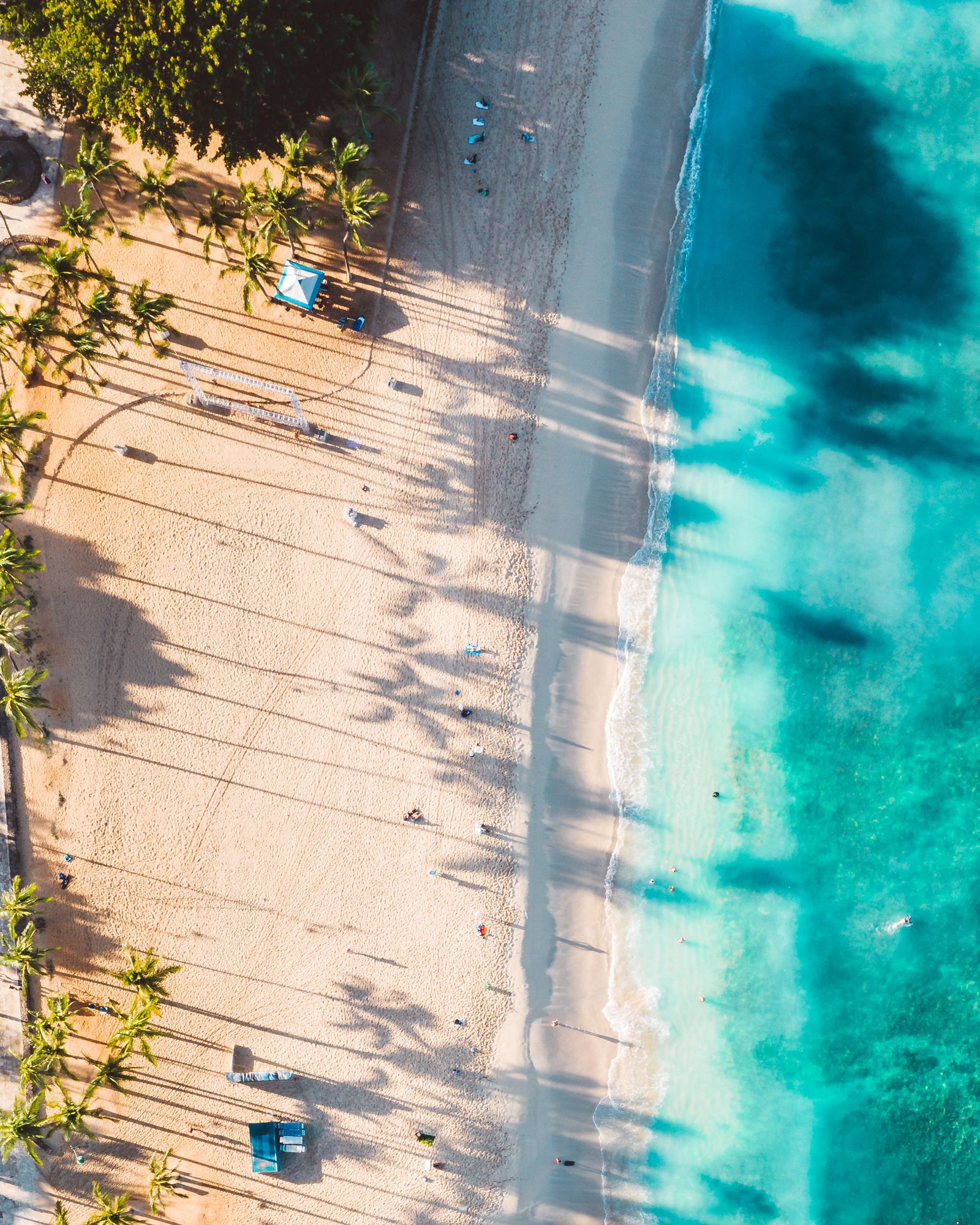 Aerial view of a narrow golden beach and turquoise water on the North Shore